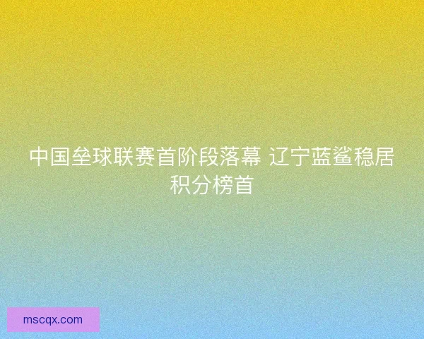 中国垒球联赛首阶段落幕 辽宁蓝鲨稳居积分榜首